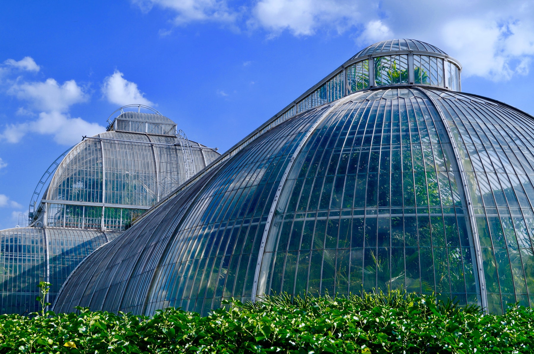 Image of Kew Gardens Greenhouse